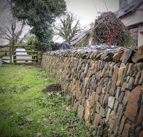 Devon bank Drystone walling 2