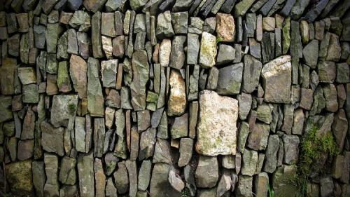 Devon bank Drystone walling close up