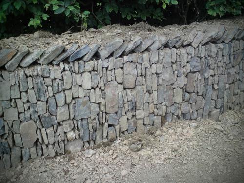 Devon bank Drystone walling example