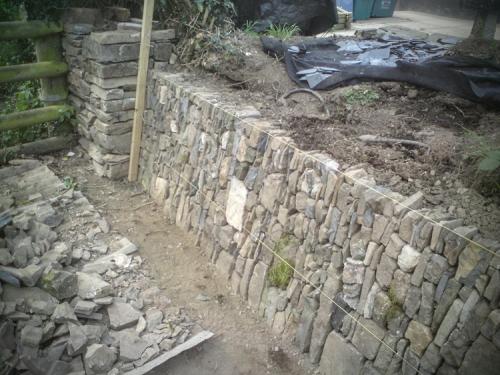 Devon bank Drystone walling in progress 2