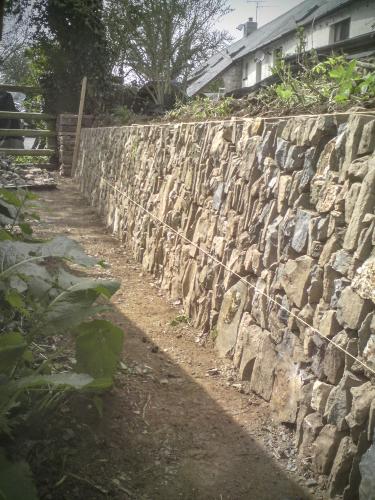 Devon bank Drystone walling in progress