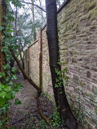 Woodland Trust terrace Lime mortar poiting