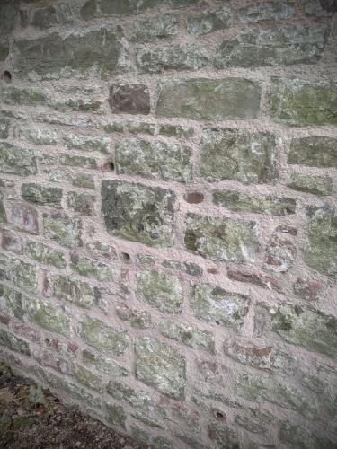 Woodland Trust terrace lime pointing